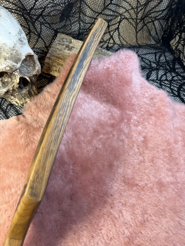 The Unholy Steve the Stave wine barrel paddle - Image 7