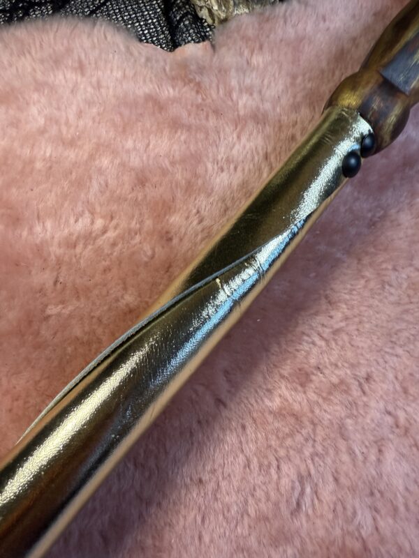 The Golden Dragon tail whip - Image 5