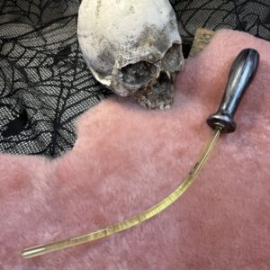 Silver Stinger rubber whip