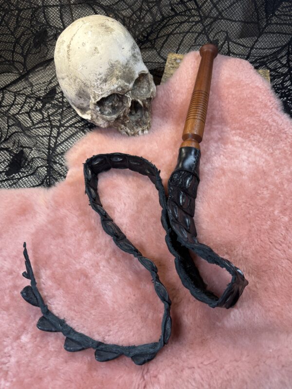 Alligator Back strap Dragon Tail whip
