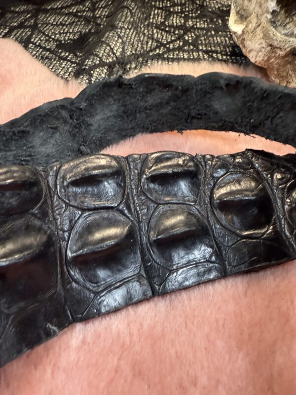 Alligator Back strap Dragon Tail whip - Image 4