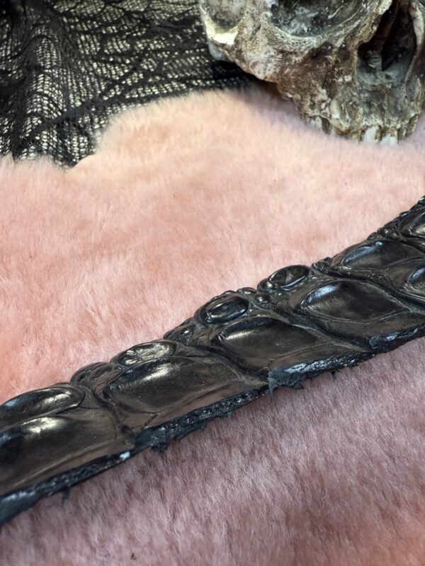 Short Alligator Back strap Dragon Tail whip - Image 2