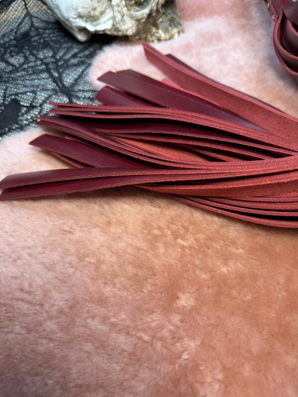 The Bloody Brute Flogger - Image 5