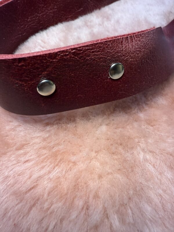Bloody Quirt - leather traditional style Quirt with Skull studs - Image 4
