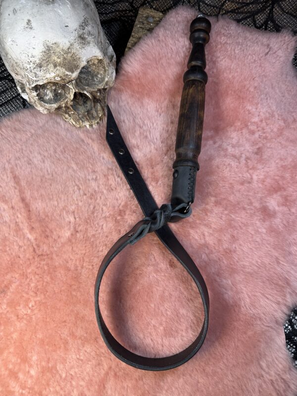The Lash of Lyssa - Image 2