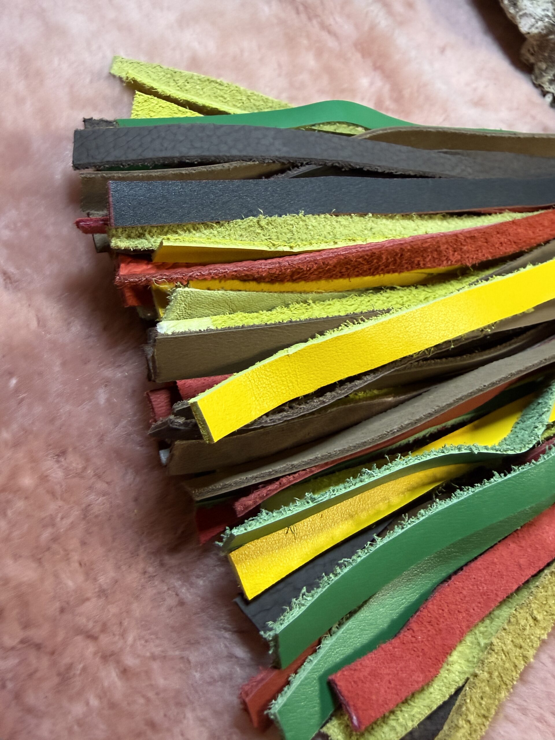 The Wonkey Donkey - Image 2