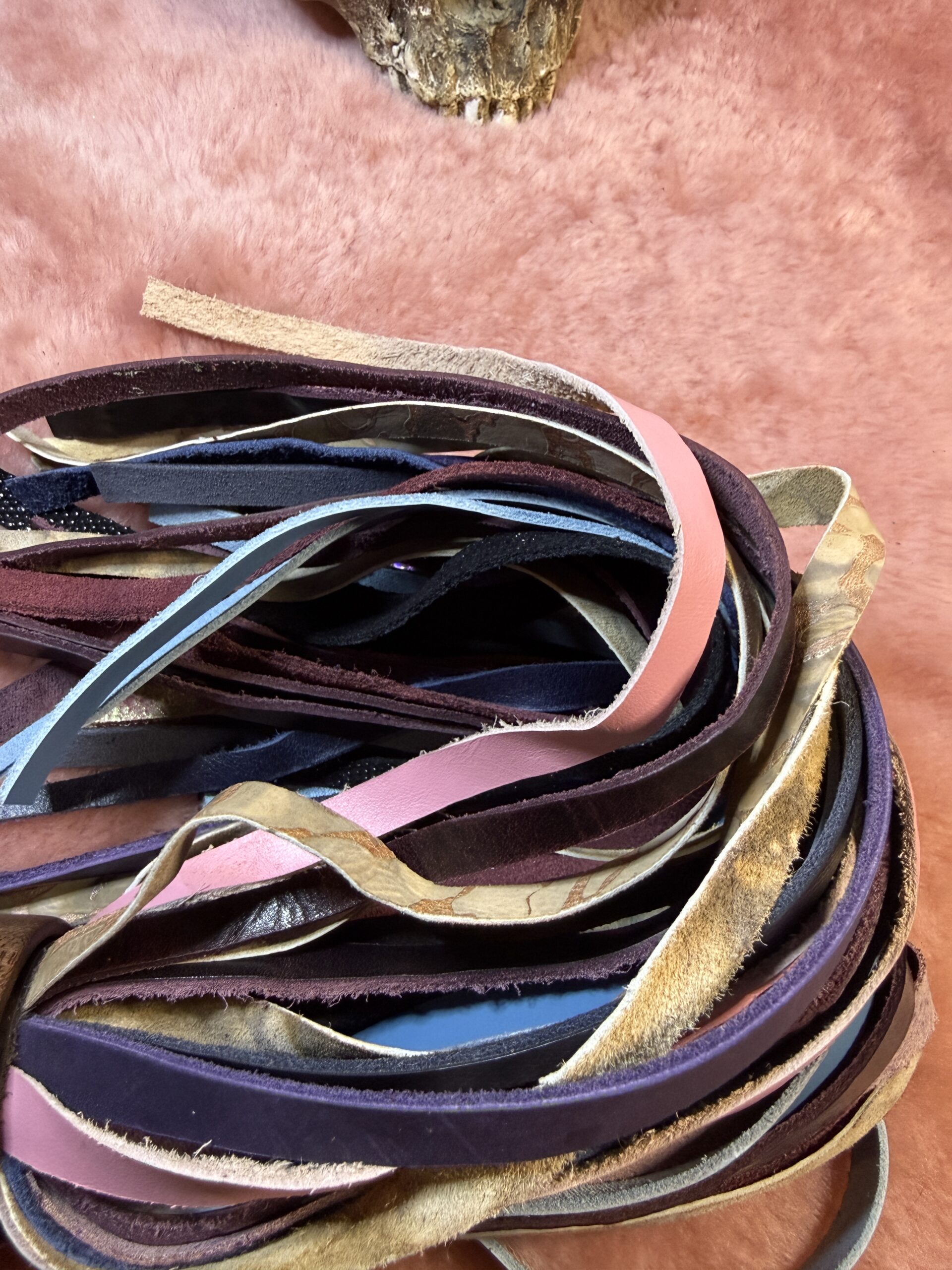 The Wonkey Donkey 2 - Image 5