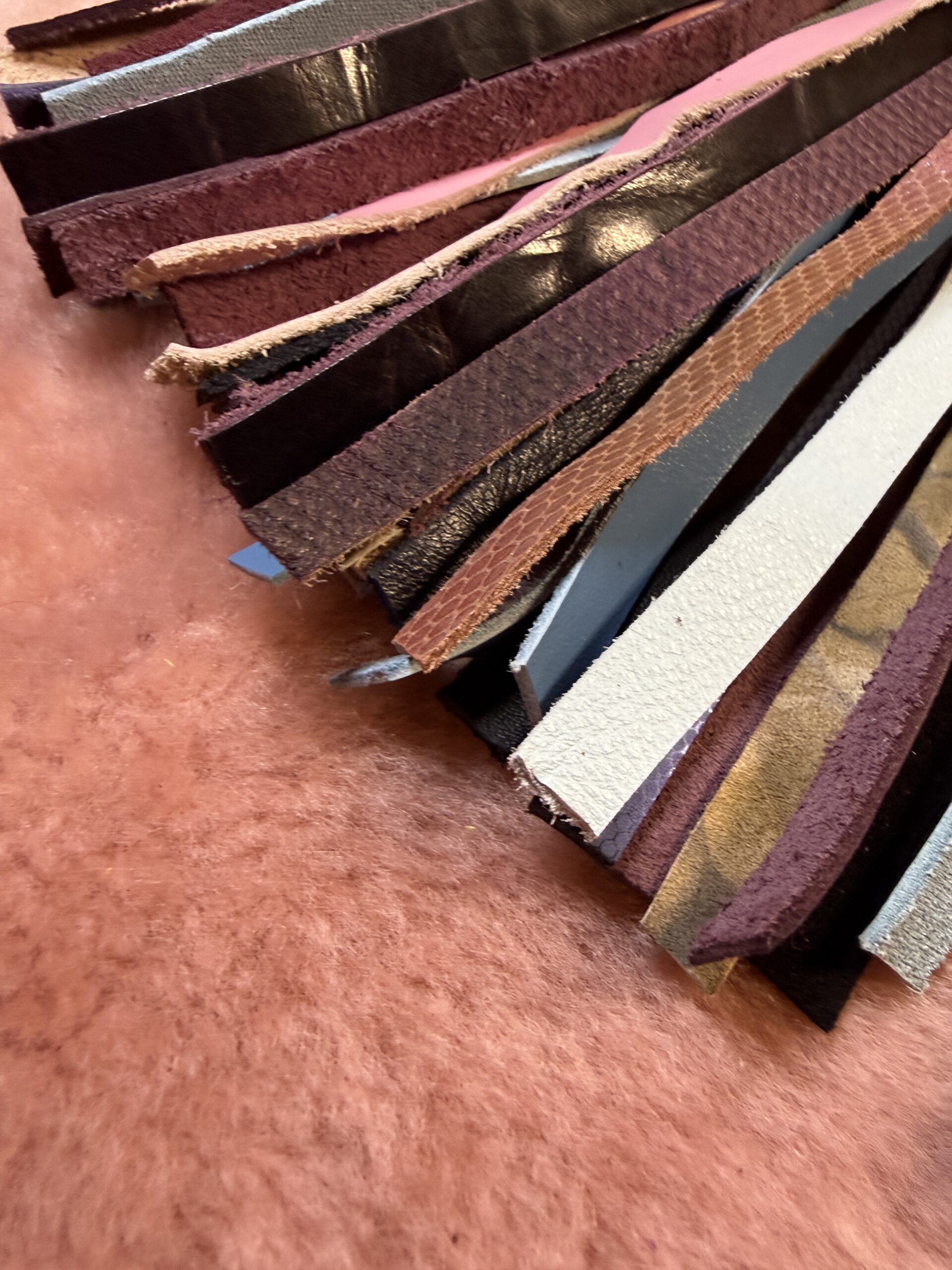 The Wonkey Donkey 3 - Image 5